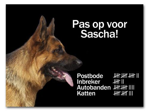 voorbeeldbord met hond 1