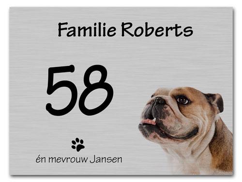 voorbeeldbord met hond 4